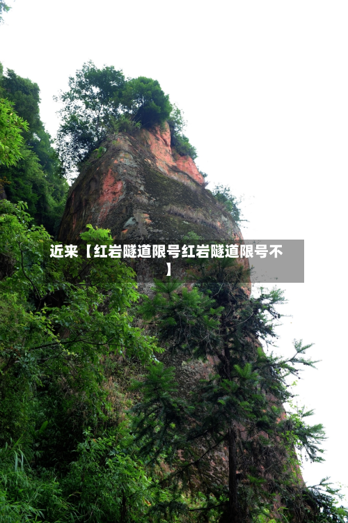 近来【红岩隧道限号红岩隧道限号不】