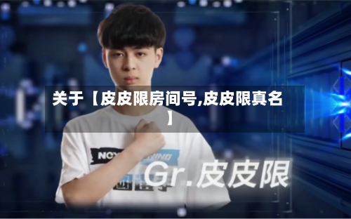 关于【皮皮限房间号,皮皮限真名】
