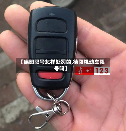 【德阳限号怎样处罚的,德阳机动车限号吗】