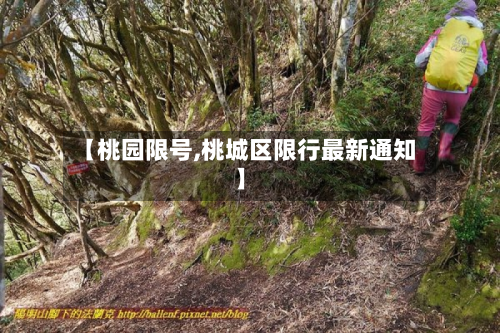 【桃园限号,桃城区限行最新通知】