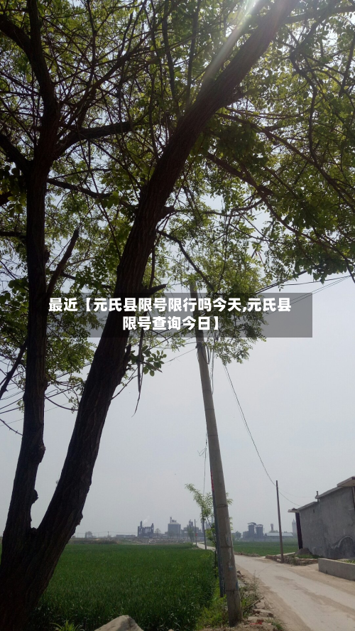 最近【元氏县限号限行吗今天,元氏县限号查询今日】
