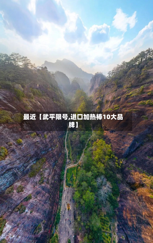 最近【武平限号,进口加热棒10大品牌】