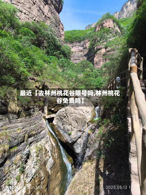 最近【去林州桃花谷限号吗,林州桃花谷免费吗】