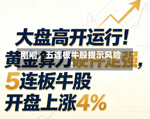 刚刚，五连板牛股提示风险！