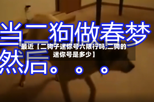 最近【二狗子迷你号六限行吗,二狗的迷你号是多少】-第2张图片