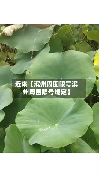 近来【滨州周围限号滨州周围限号规定】-第2张图片