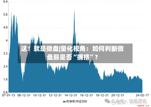 这！就是微盘|量化视角：如何判断微盘股是否“拥挤”？-第2张图片