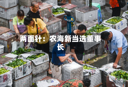 两面针:农海新当选董事长
