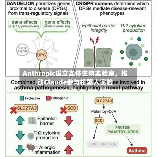 Anthropic设立实体生物实验室，推动Claude参与机器人实验-第2张图片