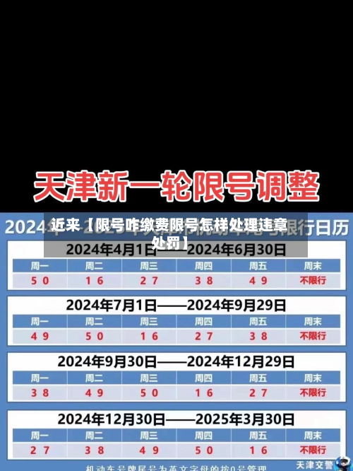 近来【限号咋缴费限号怎样处理违章处罚】