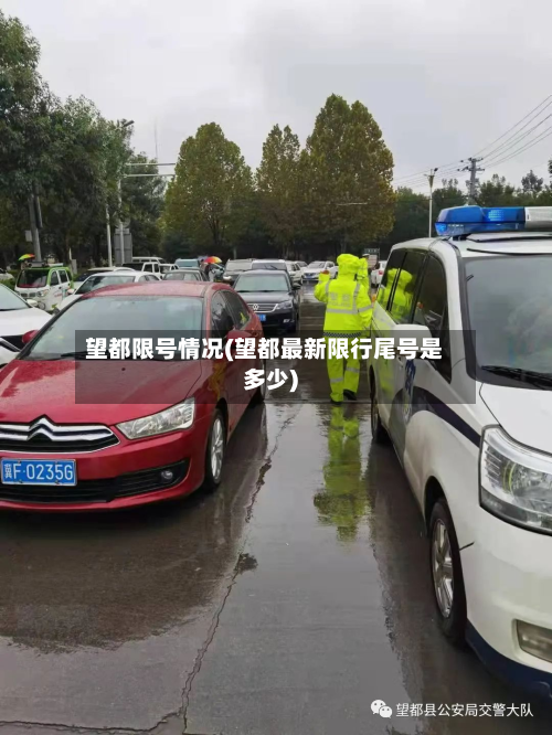 望都限号情况(望都最新限行尾号是多少)-第3张图片