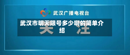 武汉市明天限号多少啊的简单介绍-第3张图片