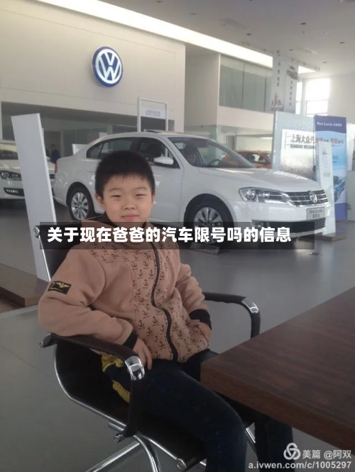 关于现在爸爸的汽车限号吗的信息-第2张图片