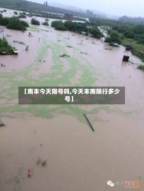 【南丰今天限号吗,今天丰南限行多少号】-第3张图片