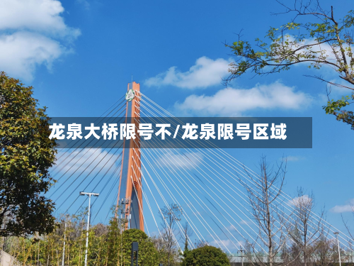 龙泉大桥限号不/龙泉限号区域