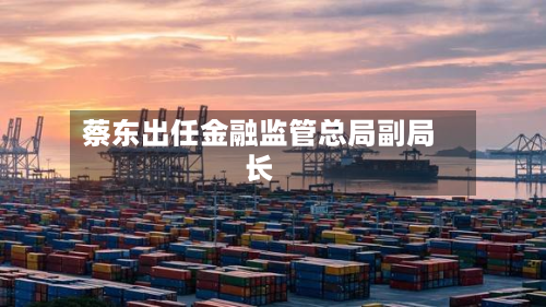 蔡东出任金融监管总局副局长-第2张图片