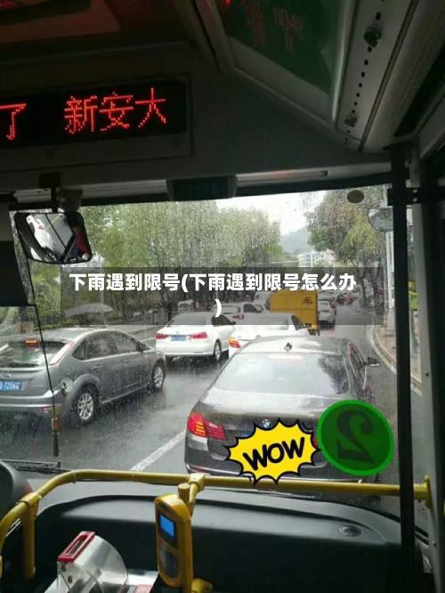 下雨遇到限号(下雨遇到限号怎么办)-第2张图片