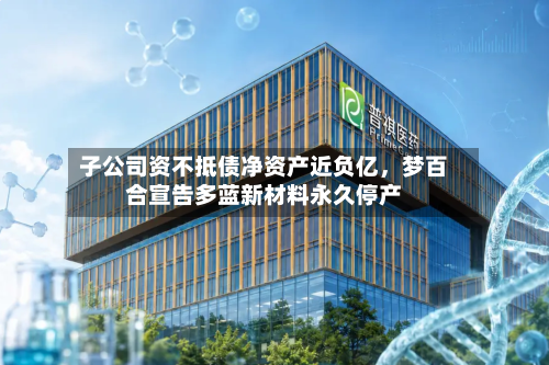 子公司资不抵债净资产近负亿，梦百合宣告多蓝新材料永久停产-第3张图片