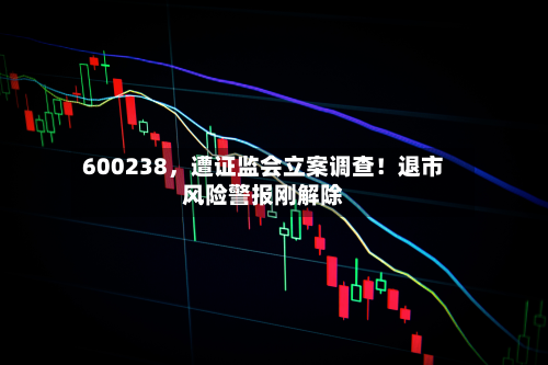 600238，遭证监会立案调查！退市风险警报刚解除-第3张图片