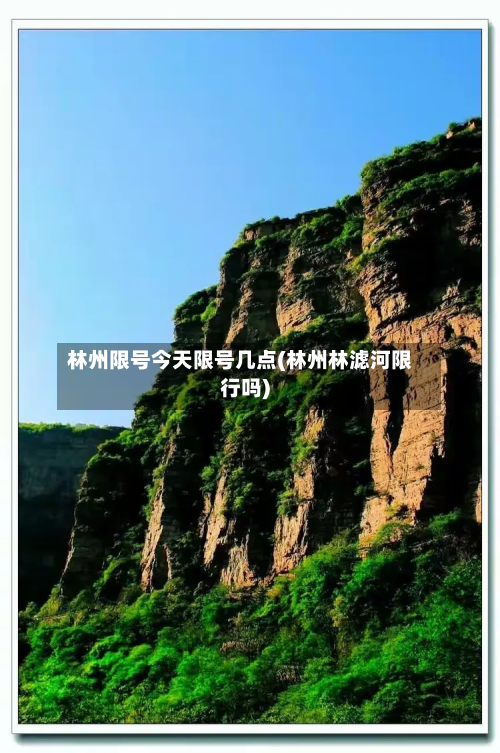 林州限号今天限号几点(林州林滤河限行吗)