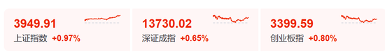 “小作文”，引发的大涨！